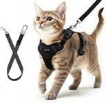 Cat Harness and Leash for Walking, 