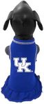 NCAA Kentucky Wildcats Cheerleader Dog Dress, Unisex-Adult, Pet Apparel, Dress-Kentucky, Team Color, Large