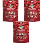 Oxbow SIMPLE REWARDS Treats Rabbit Guinea Pig Chinchilla STRAWBERRY .5 oz 3 PACK