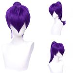 Morticia Short Straight Purple Women Costume Cosplay Wig with Long Detachble Ponyail