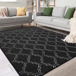 Chicrug Shag Geometric 4x6 Area Rug