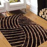 FIROZ and Brothers (F & B Rugs) Super Soft Indoor Modern Shag Microfiber USA Exported Carpet with 2. "Inch Thickness Silky Fluffy Smooth Size 3 Feet by 5 Feet (90X150 cm) Brown