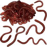 Kisangel 25 Pcs Plastic Stretchy Earthworms Realistic Earthworms Scary Props for Prank April Fools Day Supplies