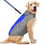 YFbrite Dog Raincoats-Lightweight Dog Raincoat Adjustable Dog Vest Reflective Pet Jacket Warm Dog Cloth for Small Medium Large Dogs (Blue, X-Large)