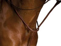 Kincade Raised Martingale Standing - Brown, Full