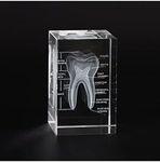 Ultrassist 3D Human Tooth Crystal M