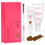 RB RENATA BEAUTY Brow Tint Kit – Eyebrow Tint Set – Dye Kit with Color Tint, Cream Developer and Styling Brush – Long-Lasting Effect Up to 4 Weeks – 30 Applications [Brown]