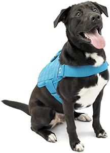 Kurgo RSG Townie - Arnés de Seguridad para Perros, Adiestramiento Perros Guía, Reflectante, Compatible con MOLLE - Azul, L