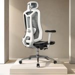 Fradiett Ergonomic Office Chair: Se