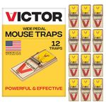 Victor M035-12 Plastic Pedal Easy Set Sustainably Sourced FSC Wood Snap Mouse Trap - 12 Traps
