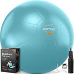 Exercise Ball - Yoga Ball Chair for Pilates, Home Fitness & Gym Workout. Extra Thick Pregnancy Ballon for Labor, Balance, Stability & Birthing - Swiss Ballon Exercice for Adults with Pump & Wall Chart