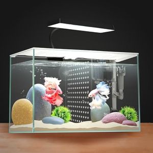 iPriro 3 Gallon 12.6" L Fish Nano Glass Aquarium, with Separator Plate for Betta, Multi-Functional Square Fish Tank with Filter, LED Light, White 4mm Glass