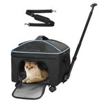 Babenest Cat Carrier with Detachable Wheels, Airline Approved Rolling Pet Travel Carrier for Small Dog and Cats with Telescopic Handle and Shoulder Strap, Car Road Trip Park Pet Hospital (Black)