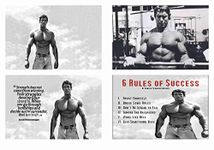 BALDAU PRINTS Arnold Schwarzenegger Combo Poster Set of 4 Posters (Gloss Laminated, 12X18 Inch, 300 GSM) M12