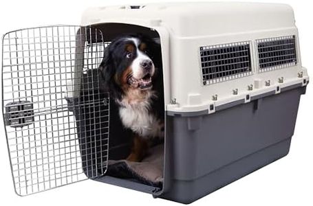 SportPet A