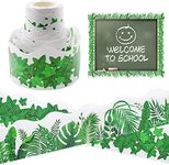 Cinvo Bulletin Board Border Trim Boho Greenery Tropical Leaves Ivy Leaves Double Sided Border Die-Cut for Bulletin Boards Black Board Desks Wall Decals Back to School Classroom Decoration (3" x 50’)