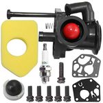 Carburetor with 698369 Air Filter Replacement for 795469 794147 699660 794161 498811 795477