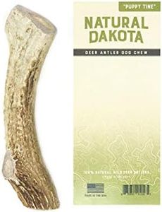 Natural Dakota Premium Deer Antler Chew Toys (Medium)"Puppy Tine"