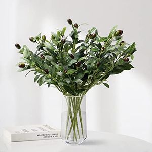 Dremisland 6 Pack Olive Branches Artificial Plants Olive Branches Stems Fake Plants Green Leaves Fruits Branch Leaves for Vase Bouquets Wedding Floral Arrangement, Greenery Decor (Olive-6PCS)