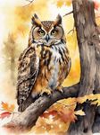 Amiiba Pre Printed Cross Stitch Kits for Adults, Owl Tree Birds 11ct Stamped Embroidery Kits 15.7×19.7 inch DIY Wall Art Decor for Beginners Kids