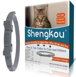 Cat Flea & Tick Collar - Premium Plant-Based Essential Oils, Waterproof, 6-Month Protection for Small Kittens, 1 Pack