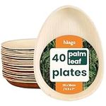 HAAGO Compostable Palm Leaf Plates - Eco-Friendly Disposable Tableware for Picnics, Safe for Freezer & Microwave (40, 25cm / 10" Teardrop)