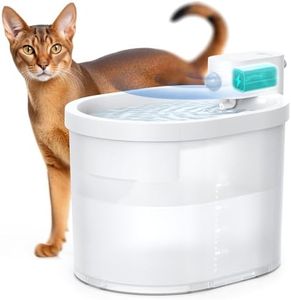 uahpet Cat
