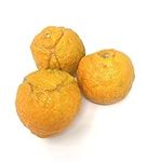 Fresh Seville / Bitter Oranges - 5 