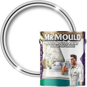 Mr Mould A