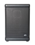 Peavey Solo® Battery Powered Portable PA and Busking Amp, 10-Hour Battery Life, Bluetooth, 4-Channels, Lightweight, Fast Rechargeable Battery, Guitar Input, Reverb Included