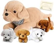 G.C 5pcs Plush Dog Stuffed Animals 