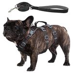 Wuffley Escape Proof Dog Harness and Leash Set, Lightweight Dog Harness with Lift and Assist Handle, No Pull Reflective Pet Vest for Small Medium Dogs, Ideal for Puppy Walking and Training (Black, M)