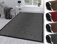 Abaseen Door Mat For Indoor & Outdoor Washable Large Kitchen Barrier Mat Heavy Duty Non-slip Rubber Back Entrance Rug Shoes Scraper Super Absorbent Front Door Mat Carpet (120x180 cm, Grey)