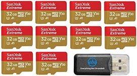 32GB SanDisk Extreme (Ten Pack) 4K 