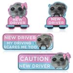 CNhoqc 4pcs Shivering Hamster New Driver Car Magnet, Cute Reflective Student Driver Sign for Car Bumper, Cartoon Nervous Hamster Caution New Driver Reusable Magnet Sticker for Car Bumper Safety Sign