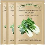 Pak Choi Seeds Pak Choy Seeds Heirloom (3 Packs-900+ Seeds) Hydroponics, Indoors & Outdoors - Packing Design May Vary