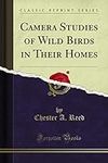 Camera Studies of Wild Birds in The