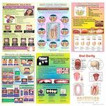 Unique Dents Dental Posters (pack of 6) Educative Posters for Dental Waiting Room, Dental Charts, High Quality Dental Poster, Dental Clinic Waiting room Posters, Dental interior.