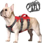 Beirui Escape Proof Dog Harness for Small Medium Dogs, Reflective Dog Harness No Pull with Padded Handle, Waterproof Dog Harness for Daily Walking Training (Red,Chest 10-16”)