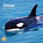 2025 Orcas Monthly Wall Calendar by Bright Day, 12 x 12 Inch Cute Nature Photography Gift