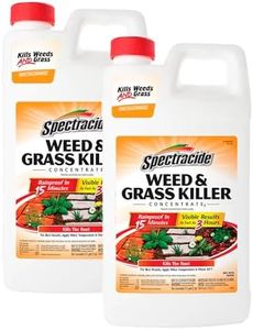 Spectracide Weed & Grass Killer Concentrate, Use On Driveways, Walkways and Around Trees & Flower Beds, 64 fl Ounce (Pack of 2)