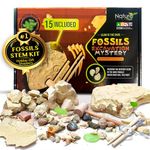 Nature Gear 15 Mystery Fossils + Bonus Glow-in-The-Dark - Excavation Adventure Kit - Science STEM Learning Kids Activity