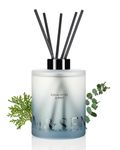 M&SENSE Eucalyptus & Mint Reed Diffuser Set - 16.9 fl oz Long-Lasting Fragrance, Non-Toxic Scent Diffuser with Natural Oil Sticks | Housewarming Diffuser Gift for Men Women, Bathroom & Home Decor