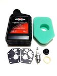 Briggs and Stratton Lawn Mower Service Kit Suitable for the Classic and Sprint