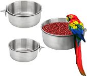 Bird Feeding Dish Cups 3 Pack Parro