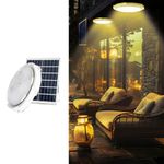 hardoll Solar Ceiling Light 300W with Remote controlled Outdoor LED Waterproof Garden Indoor Lamp