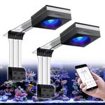 PopBloom 2X RL115 Reef LED Light, 240W Coral Reef Lights Dimmable Full Spectrum for 36-48inch Marine Fish Tanks, Saltwater Tank Light with App Control (Black, for 48x24in SPS Dominant)