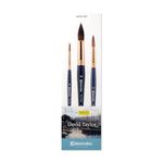 Escoda Signature Artist Watercolor Paint Brush Set, David Taylor Set #1, Includes Prado (Synthetic Sable) Round Size 8 & 12, and Ultimo (Synthetic Squirrel) Round Size 18