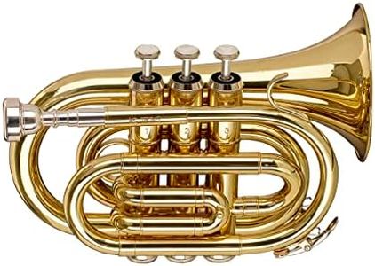Stagg WS-T