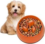 Flexzion Slow Feeder Dog Bowl Inter